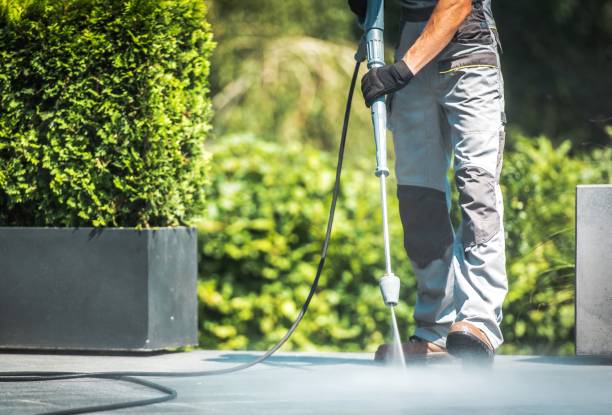 Best Solar Panel Cleaning  in Clarence Center, NY