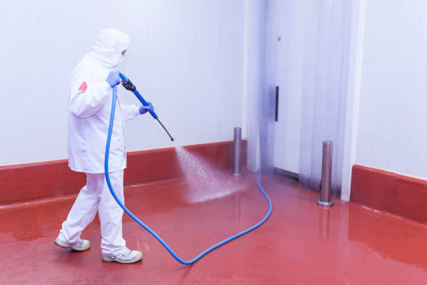Spring Cleaning in Clarence Center, NY